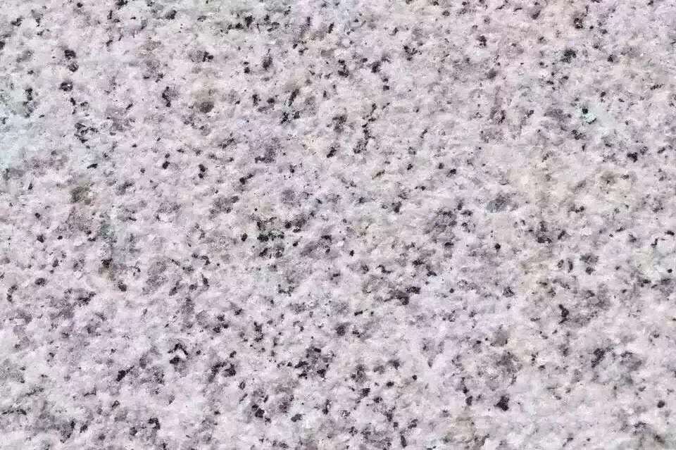 ������֦��